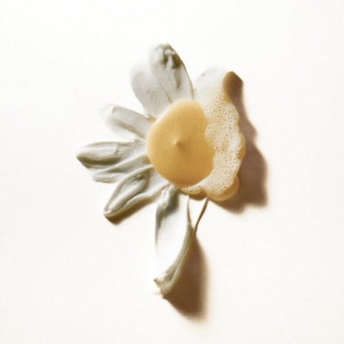 Daisy Face skincare
